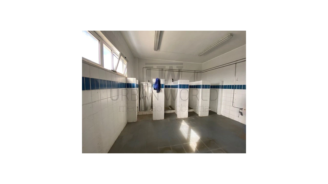 Armazém para Venda em Malveira e São Miguel de Alcainça Foto 42