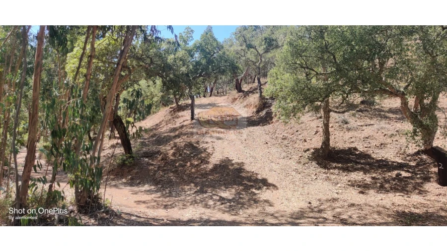 Terreno Agricola ou Rústico para Venda em Grândola e Santa Margarida da Serra Foto 2