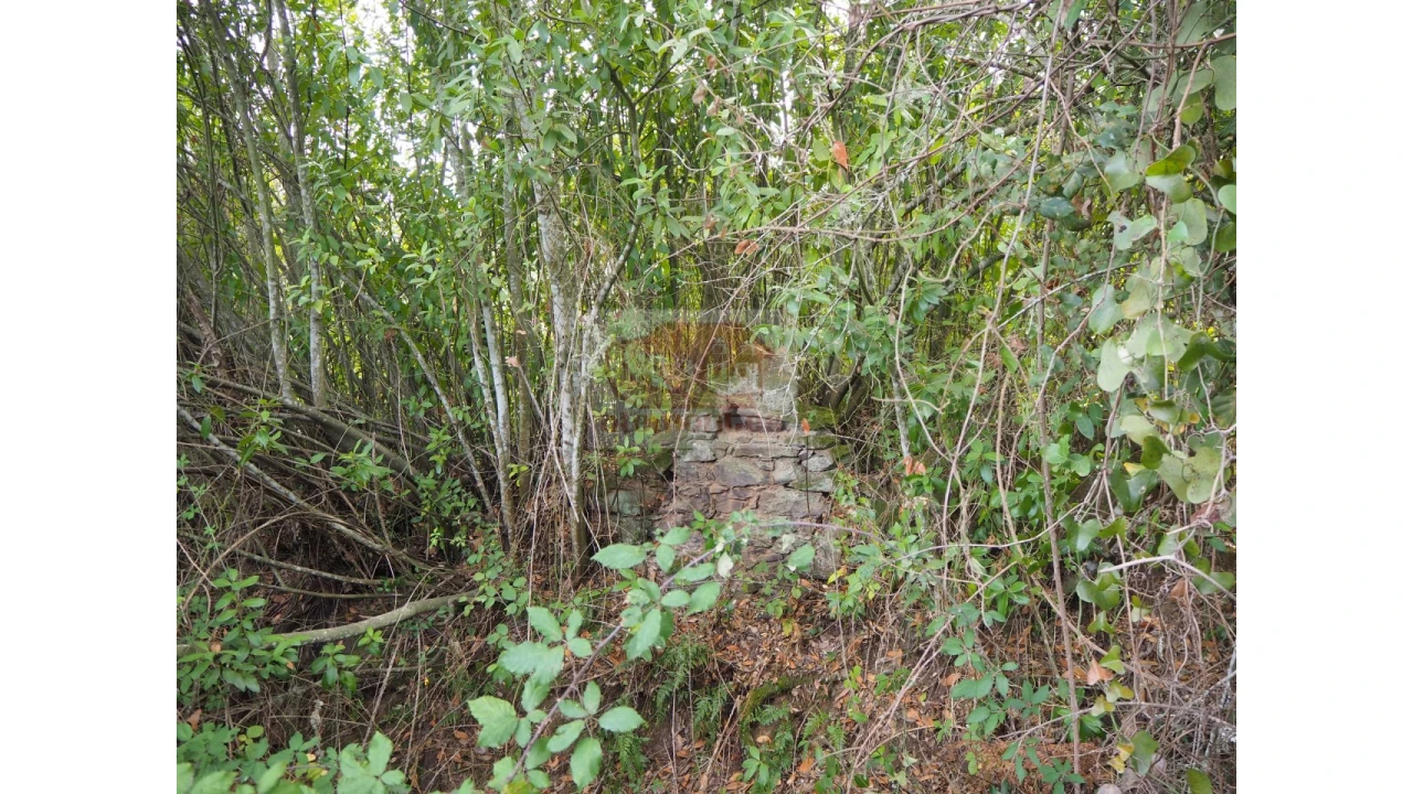 Terreno Agricola ou Rústico para Venda em Grândola e Santa Margarida da Serra Foto 7