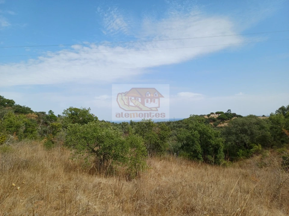 Terreno Agricola ou Rústico para Venda em Grândola e Santa Margarida da Serra Foto 1