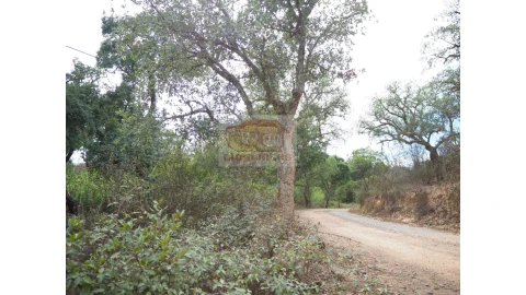 Terreno Agricola ou Rústico para Venda em Grândola e Santa Margarida da Serra