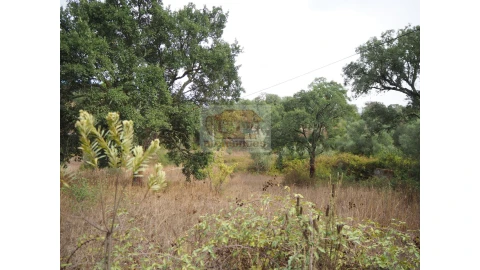 Terreno Agricola ou Rústico para Venda em Grândola e Santa Margarida da Serra