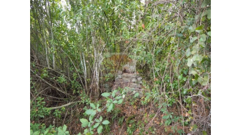Terreno Agricola ou Rústico para Venda em Grândola e Santa Margarida da Serra