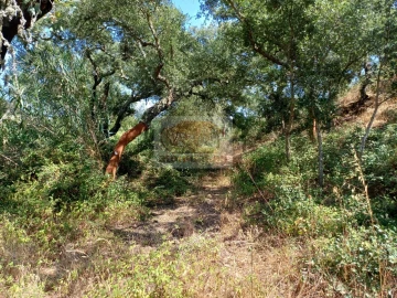 Terreno Agricola ou Rústico para Venda em Grândola e Santa Margarida da Serra