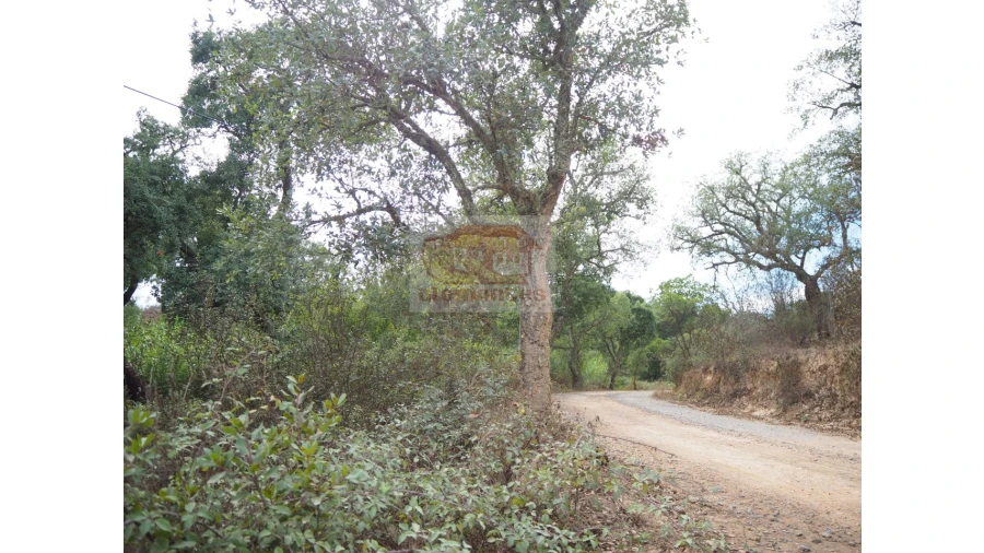Terreno Agricola ou Rústico para Venda em Grândola e Santa Margarida da Serra Foto 5