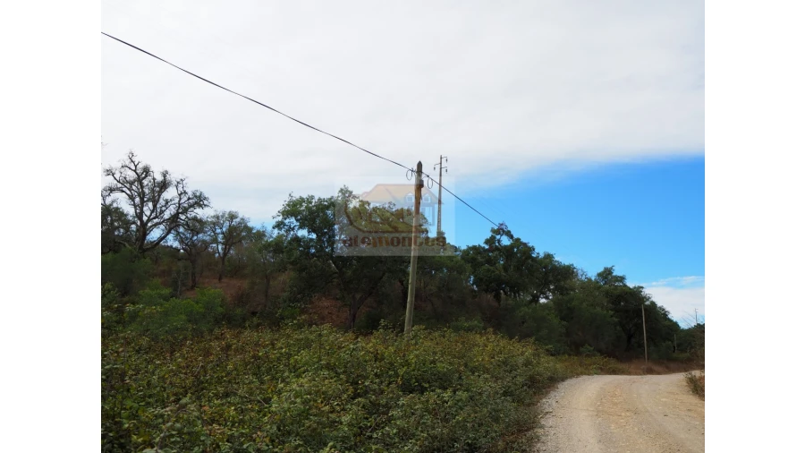 Terreno Agricola ou Rústico para Venda em Grândola e Santa Margarida da Serra Foto 9