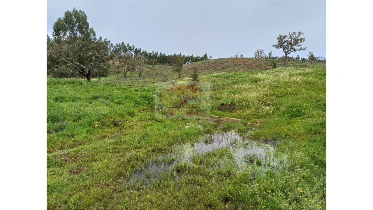 Terreno Agricola ou Rústico para Venda em São Domingos e Vale de Água Foto 1