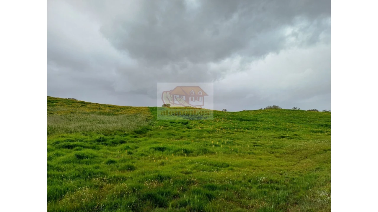 Terreno Agricola ou Rústico para Venda em São Domingos e Vale de Água Foto 3