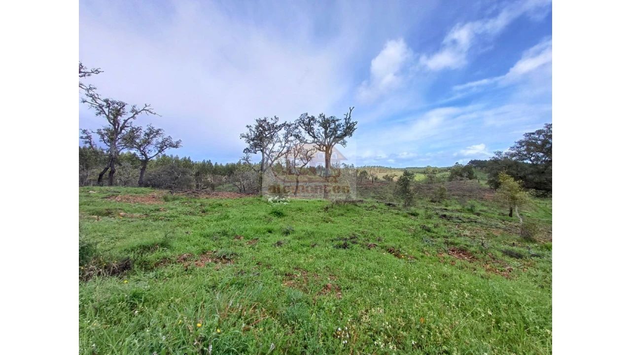 Terreno Agricola ou Rústico para Venda em São Domingos e Vale de Água Foto 6