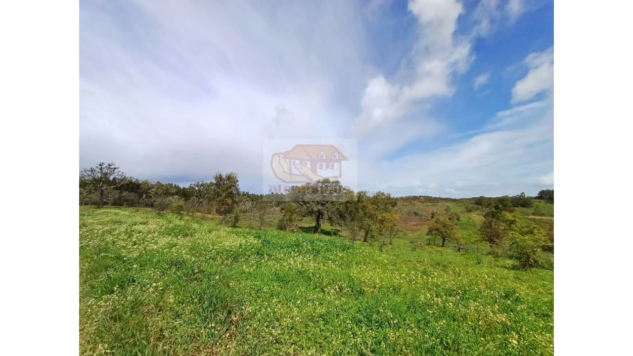 Terreno Agricola ou Rústico para Venda em São Domingos e Vale de Água Foto 7