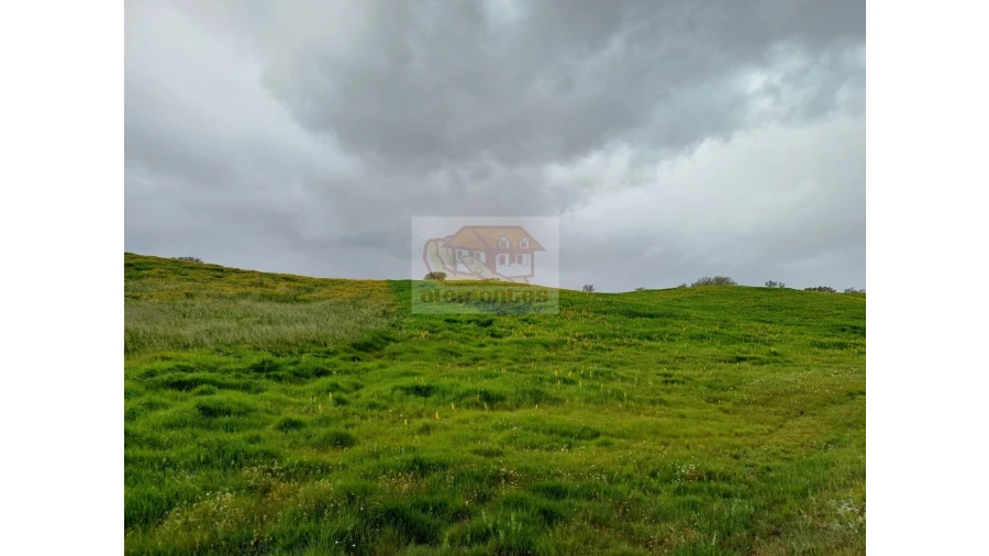 Terreno Agricola ou Rústico para Venda em São Domingos e Vale de Água Foto 3