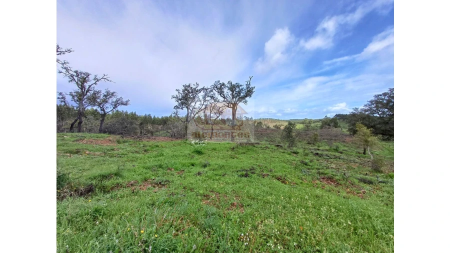 Terreno Agricola ou Rústico para Venda em São Domingos e Vale de Água Foto 6