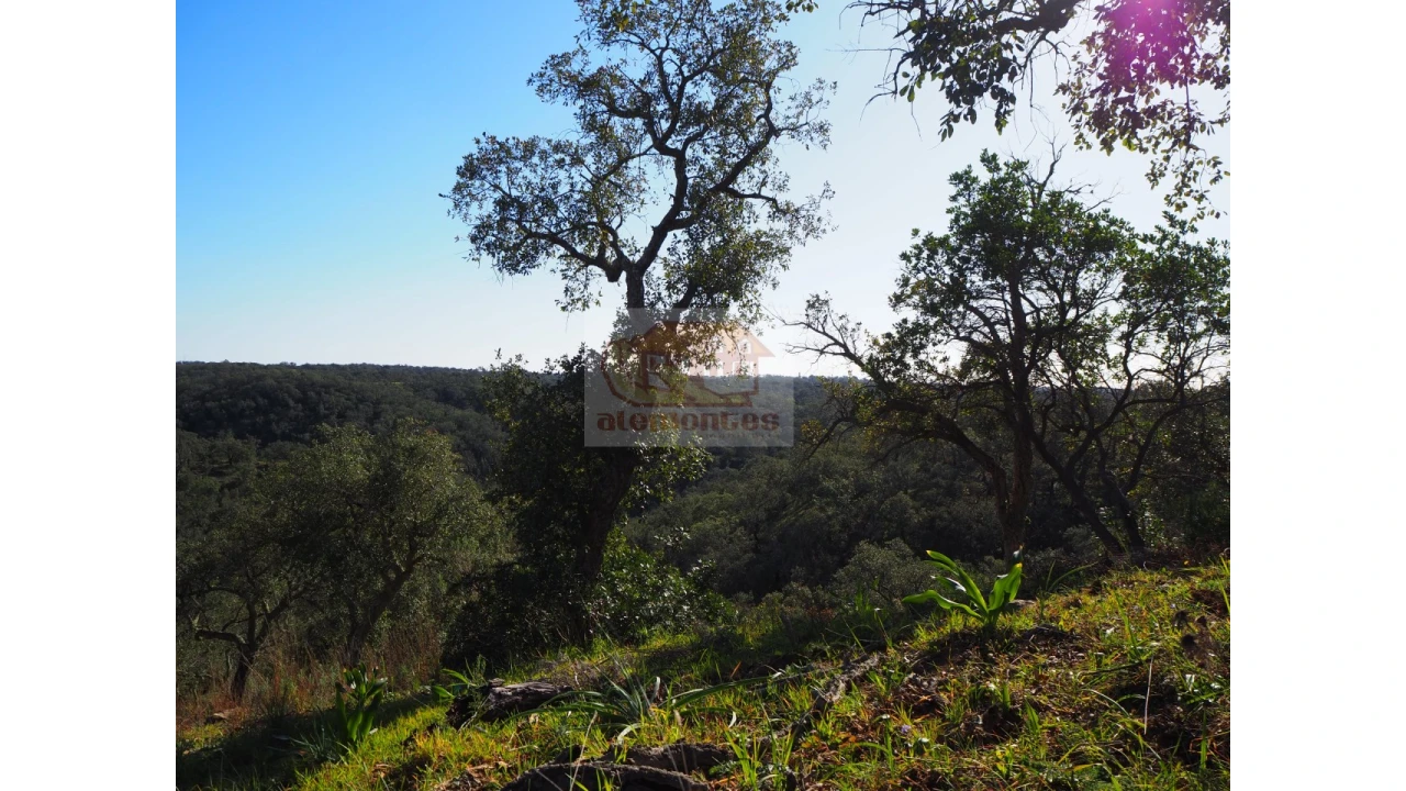 Terreno Agricola ou Rústico para Venda em São Francisco da Serra Foto 3