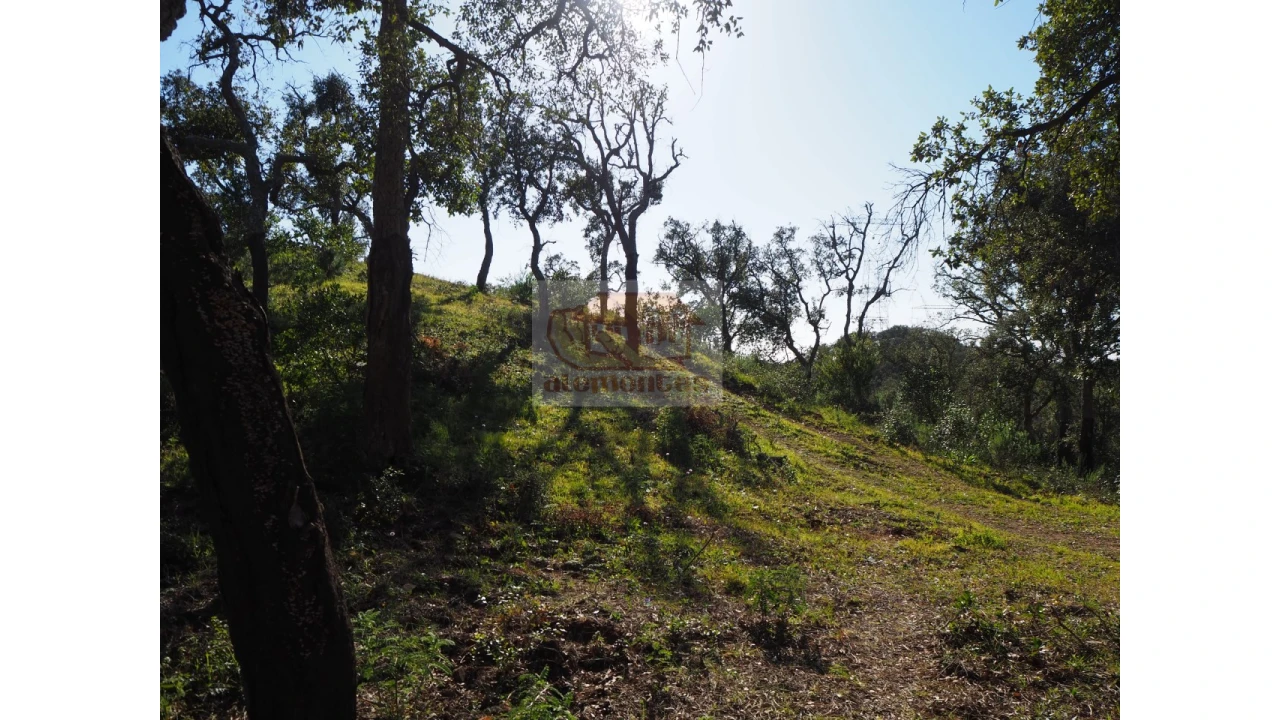 Terreno Agricola ou Rústico para Venda em São Francisco da Serra Foto 5