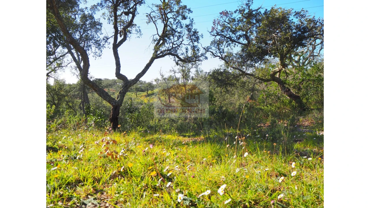 Terreno Agricola ou Rústico para Venda em São Francisco da Serra Foto 6