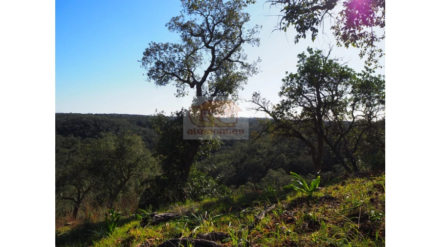 Terreno Agricola ou Rústico para Venda em São Francisco da Serra Foto 3