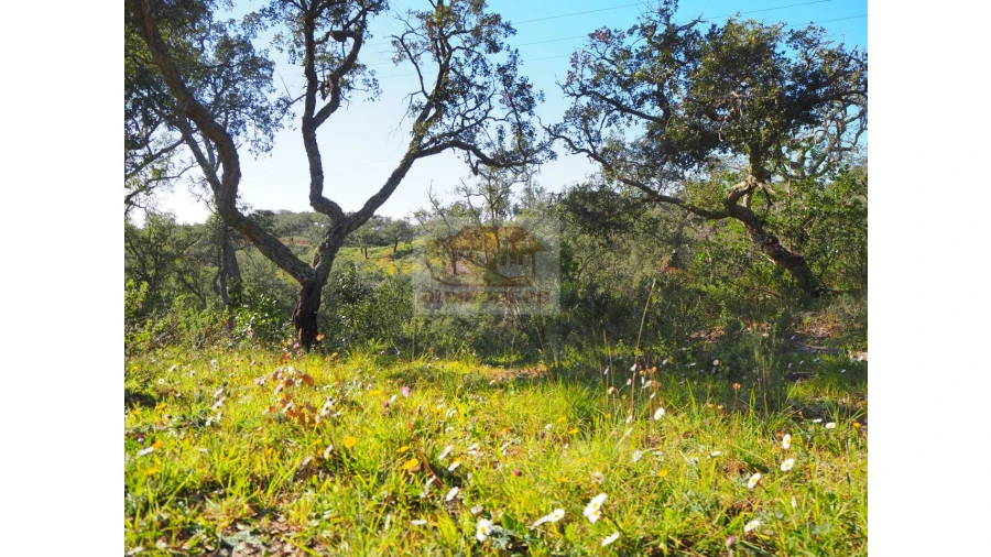 Terreno Agricola ou Rústico para Venda em São Francisco da Serra Foto 6