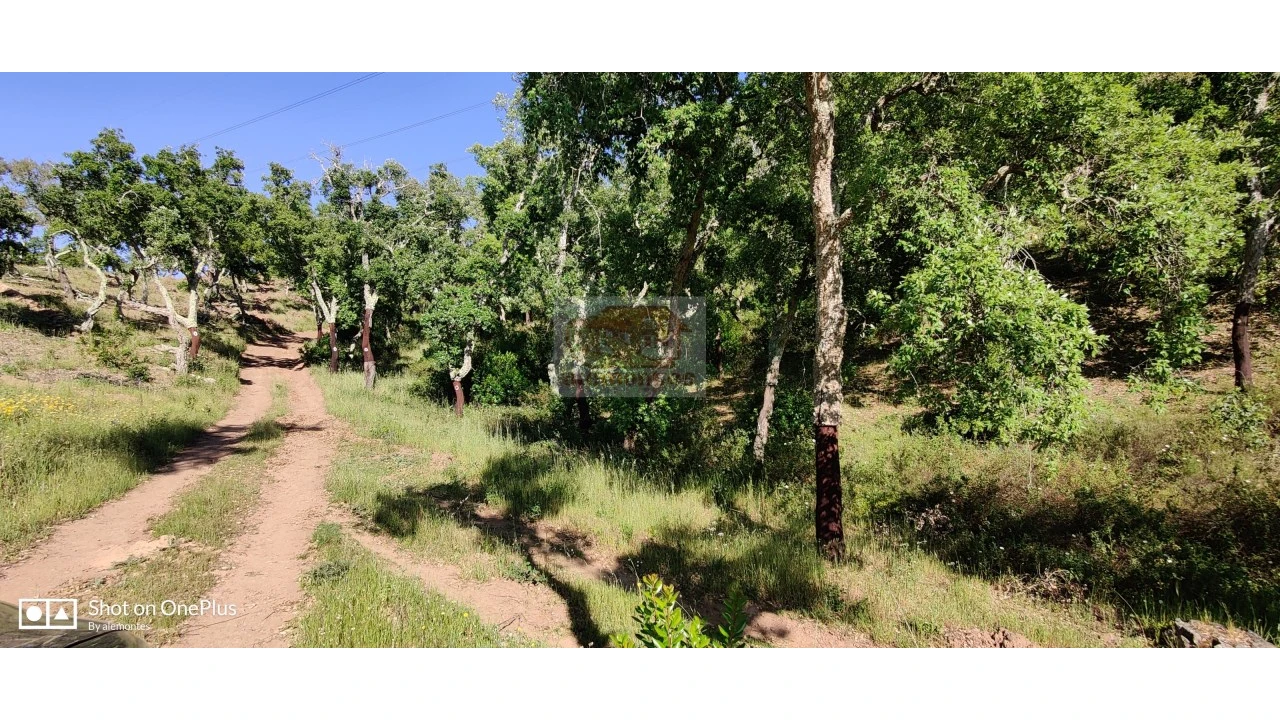 Terreno Agricola ou Rústico para Venda em São Francisco da Serra Foto 3