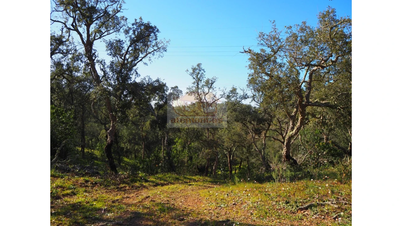 Terreno Agricola ou Rústico para Venda em São Francisco da Serra Foto 5