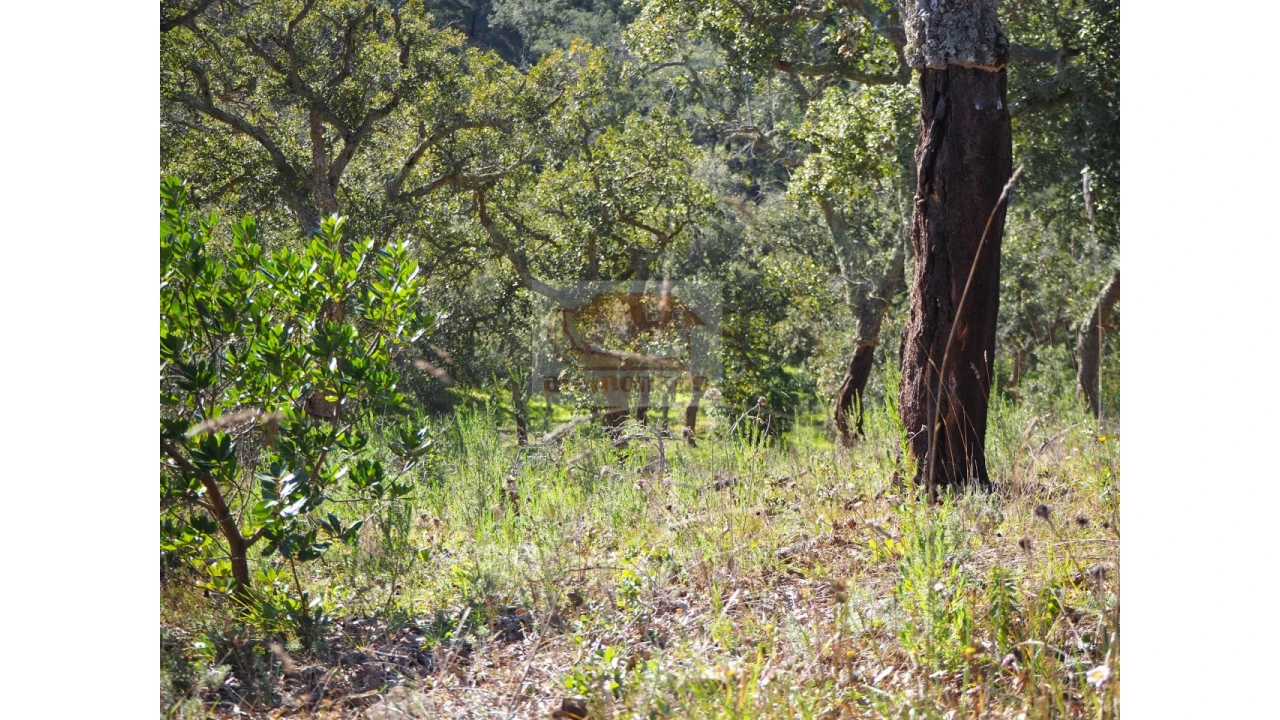 Terreno Agricola ou Rústico para Venda em São Francisco da Serra Foto 6