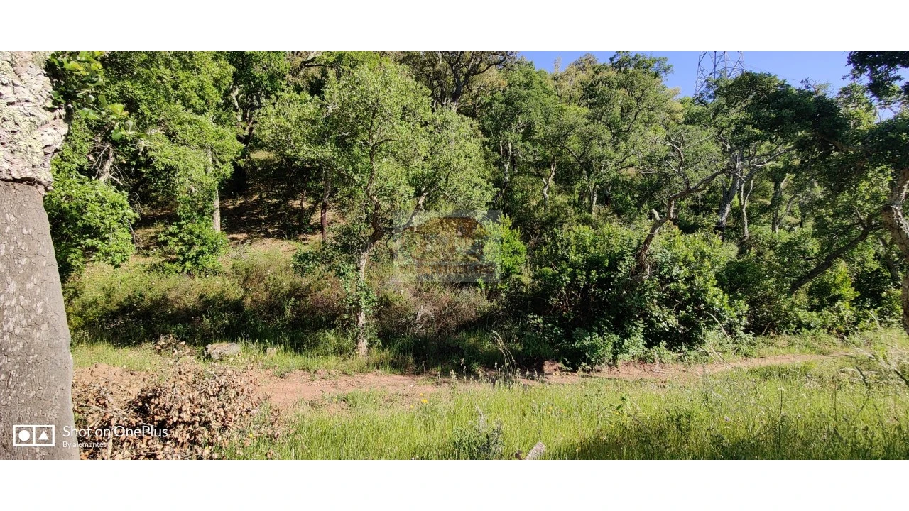 Terreno Agricola ou Rústico para Venda em São Francisco da Serra Foto 10