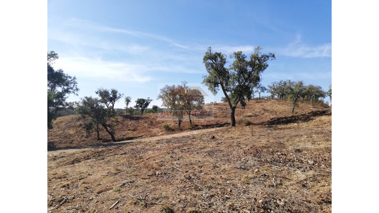 Terreno Agricola ou Rústico para Venda em São Francisco da Serra Foto 9