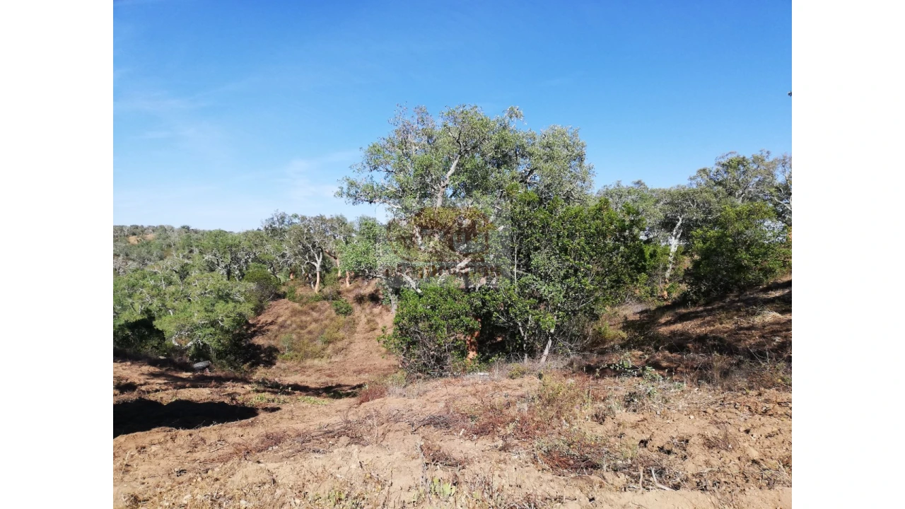 Terreno Agricola ou Rústico para Venda em São Francisco da Serra Foto 8