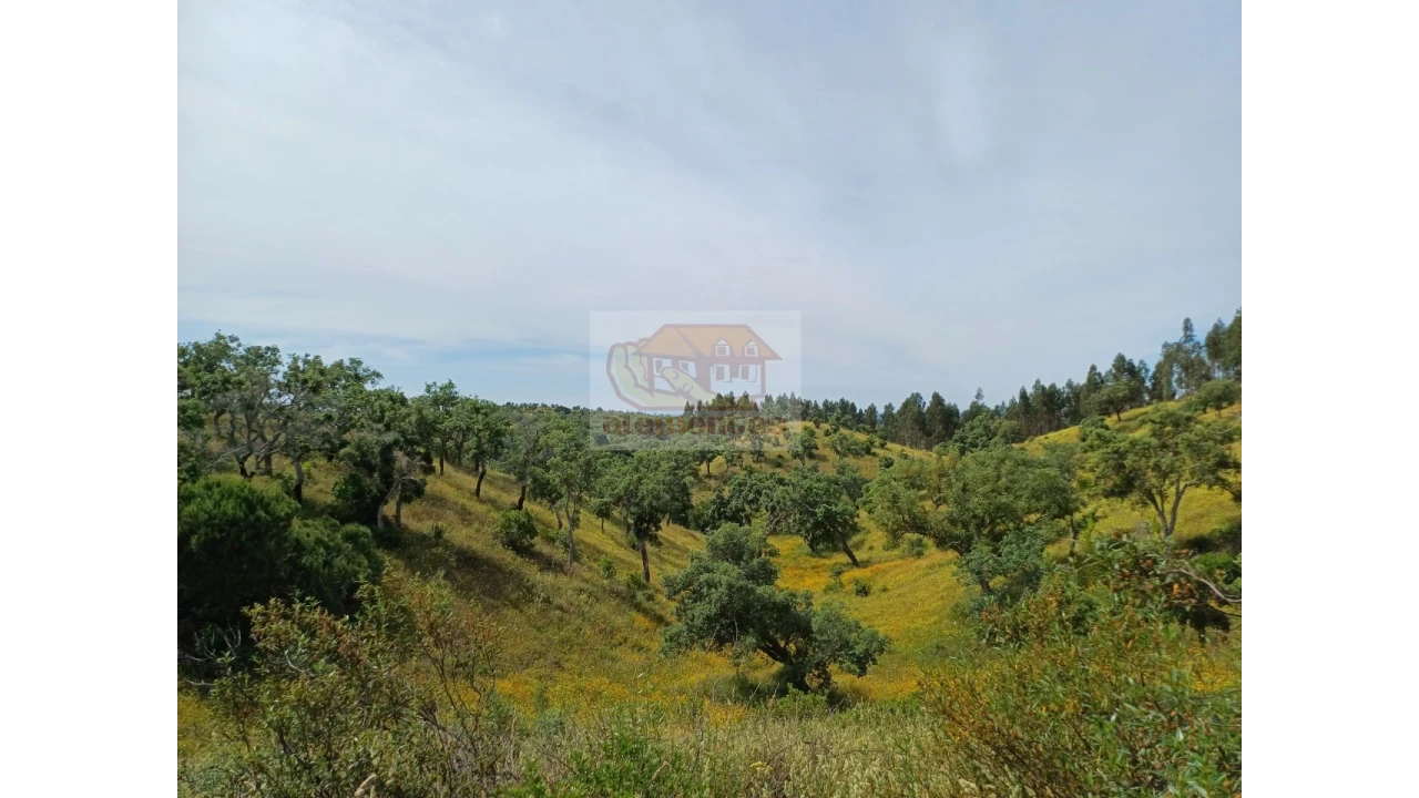 Terreno Agricola ou Rústico para Venda em São Francisco da Serra Foto 1