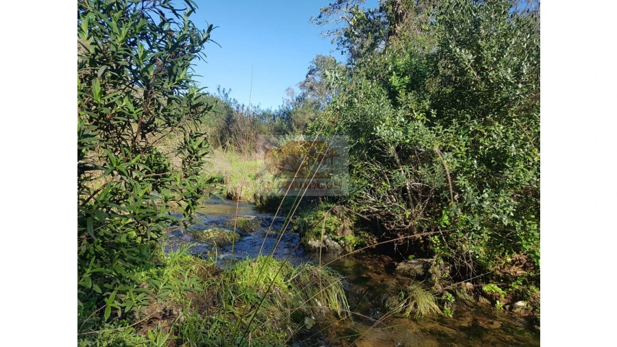 Terreno Agricola ou Rústico para Venda em São Francisco da Serra Foto 2