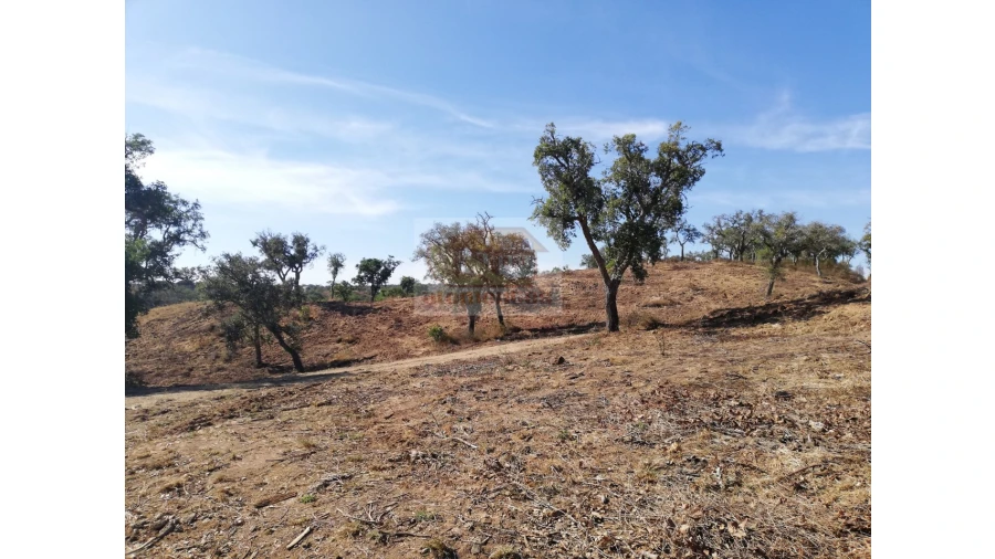 Terreno Agricola ou Rústico para Venda em São Francisco da Serra Foto 9