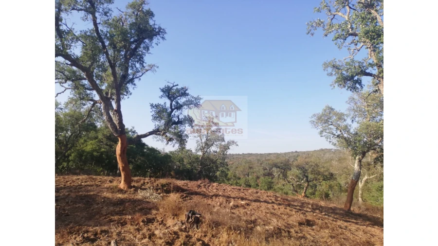 Terreno Agricola ou Rústico para Venda em São Francisco da Serra Foto 7