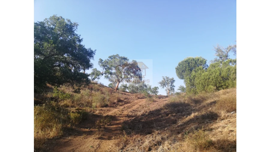 Terreno Agricola ou Rústico para Venda em São Francisco da Serra Foto 4