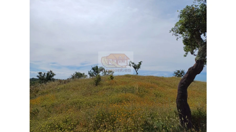 Terreno Agricola ou Rústico para Venda em São Francisco da Serra Foto 5