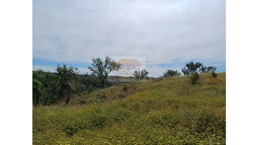 Terreno Agricola ou Rústico para Venda em São Francisco da Serra Foto 6