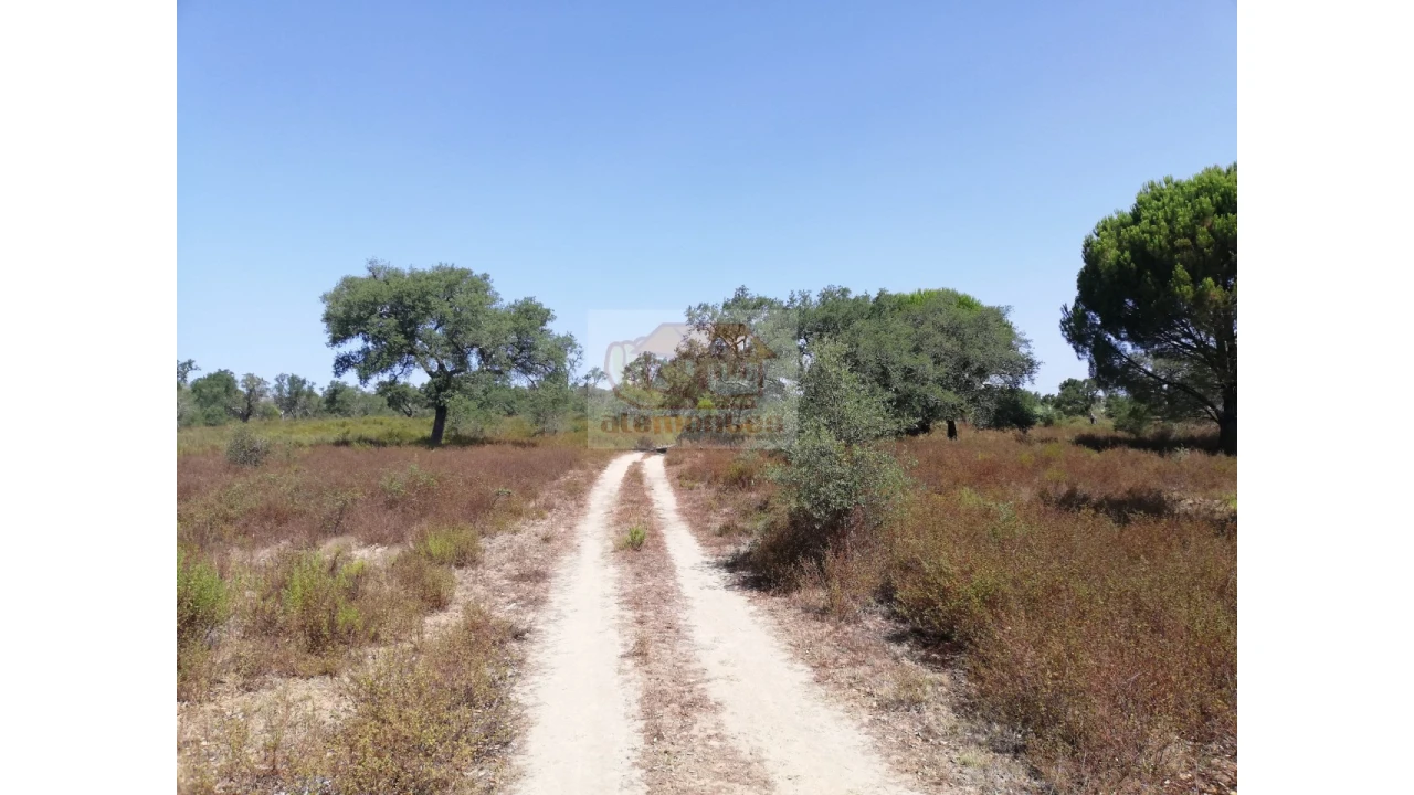 Terreno Agricola ou Rústico para Venda em Grândola e Santa Margarida da Serra Foto 4