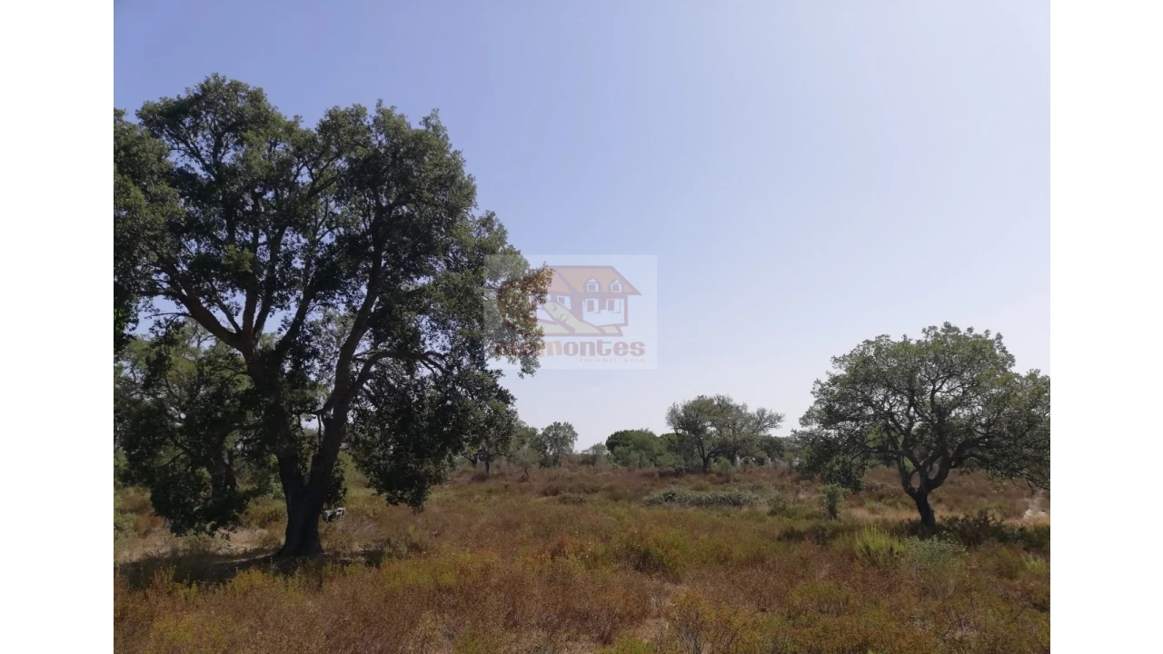 Terreno Agricola ou Rústico para Venda em Grândola e Santa Margarida da Serra Foto 1