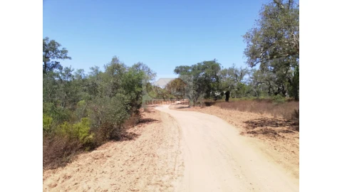 Terreno Agricola ou Rústico para Venda em Grândola e Santa Margarida da Serra