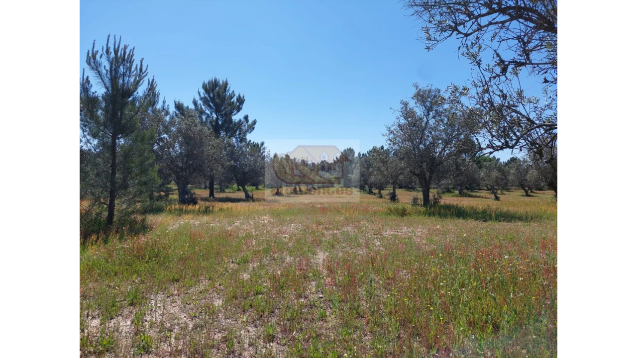 Terreno Agricola ou Rústico para Venda em Grândola e Santa Margarida da Serra Foto 2