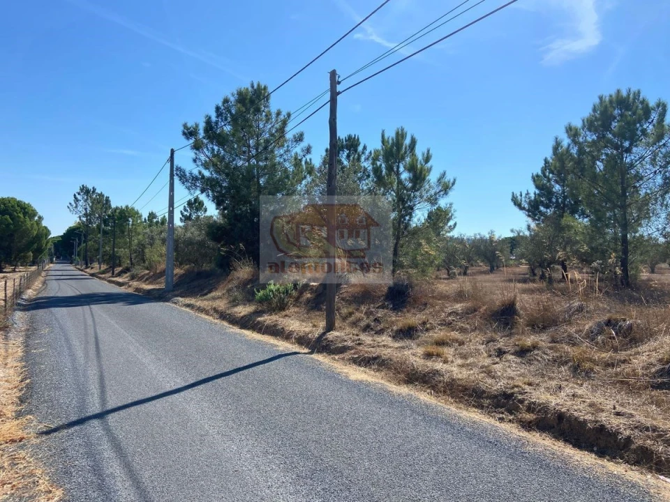 Terreno Agricola ou Rústico para Venda em Grândola e Santa Margarida da Serra Foto 7