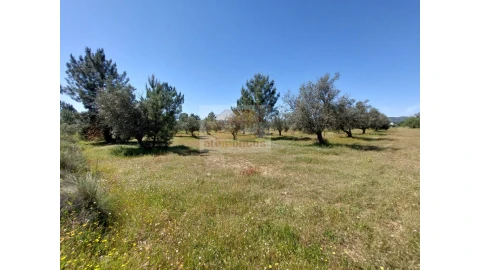 Terreno Agricola ou Rústico para Venda em Grândola e Santa Margarida da Serra