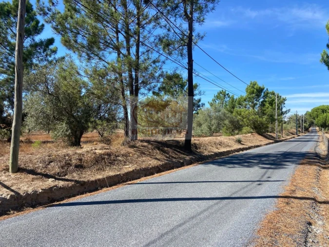 Terreno Agricola ou Rústico para Venda em Grândola e Santa Margarida da Serra Foto 6
