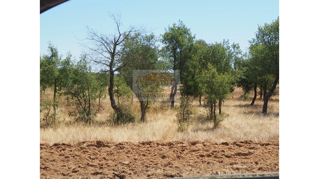 Terreno Misto para Venda em Melides Foto 4