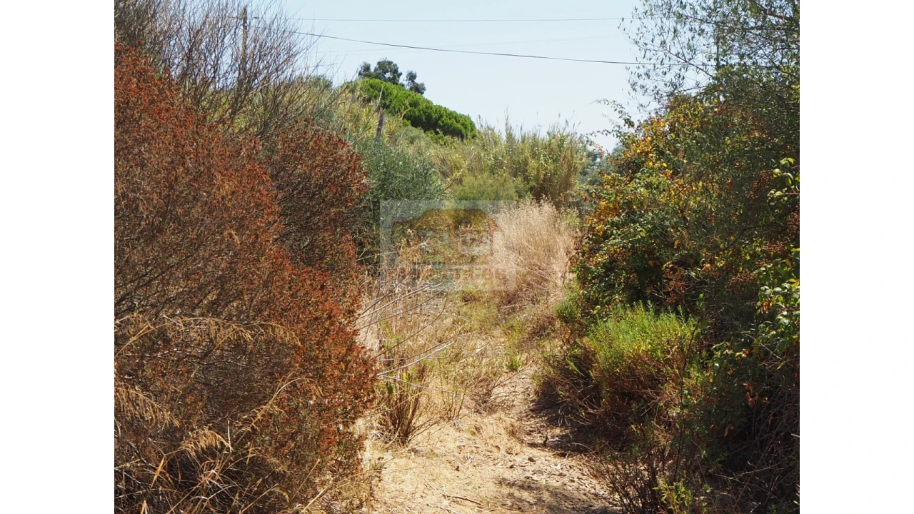 Terreno Misto para Venda em Melides Foto 8
