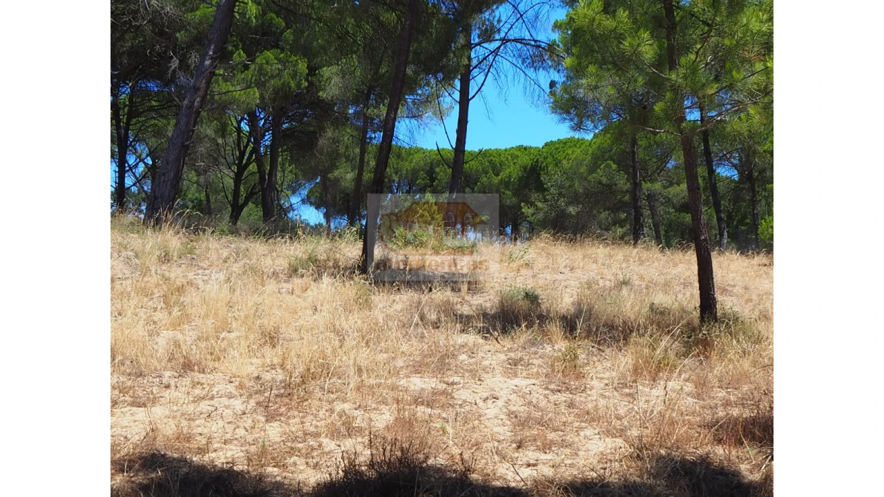 Terreno Misto para Venda em Melides Foto 9