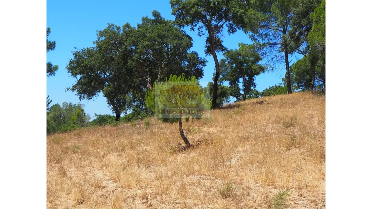 Terreno Misto para Venda em Melides Foto 1