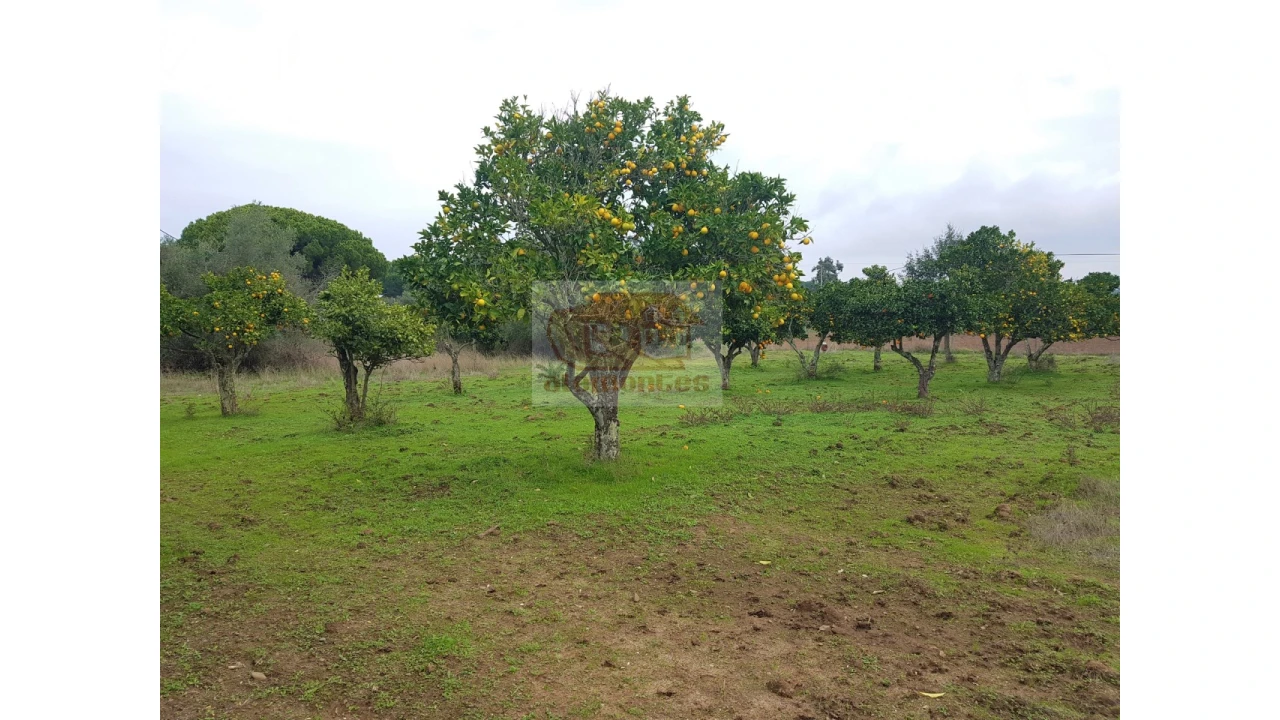 Terreno Misto para Venda em Melides Foto 5