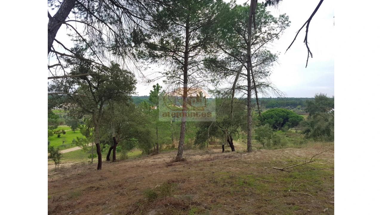 Terreno Misto para Venda em Melides Foto 11