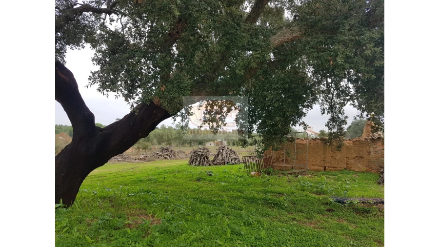 Terreno Misto para Venda em Melides Foto 6