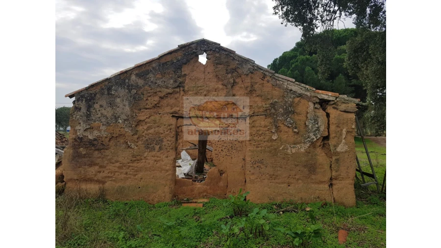 Terreno Misto para Venda em Melides Foto 7