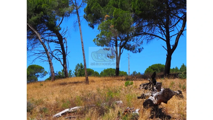 Terreno Misto para Venda em Melides Foto 3
